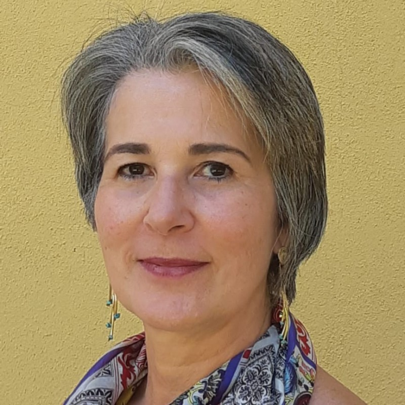 Heloisa Regina Guimarães de Menezes - Flow Consultoria e Treinamento